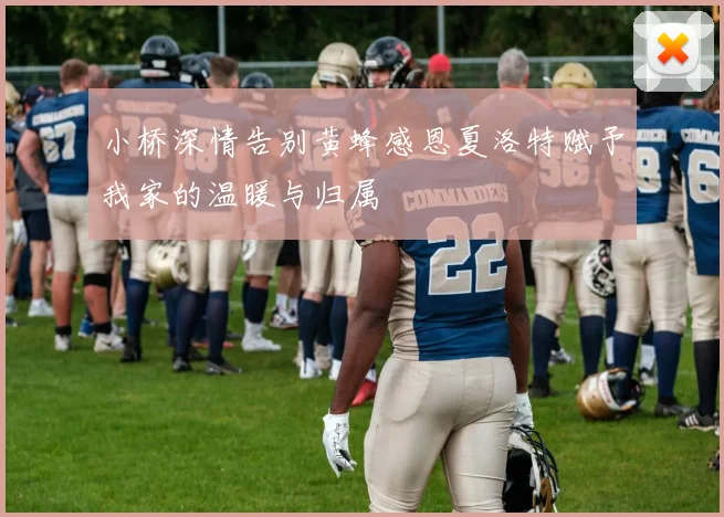 小桥深情告别黄蜂感恩夏洛特赋予我家的温暖与归属